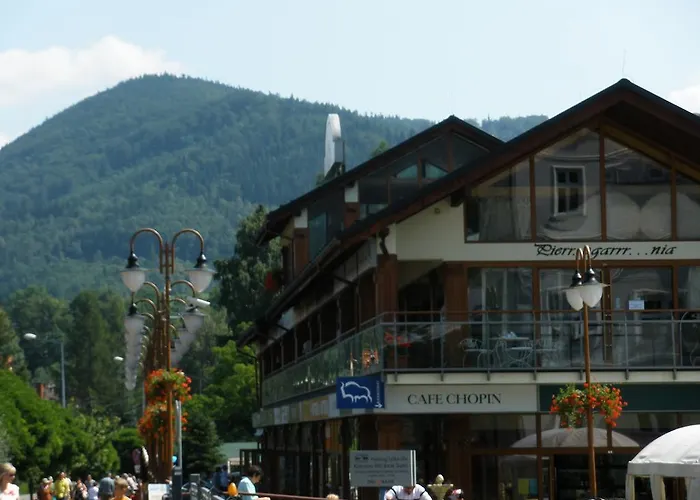 Luksusowy Apartament W Ustroniu *